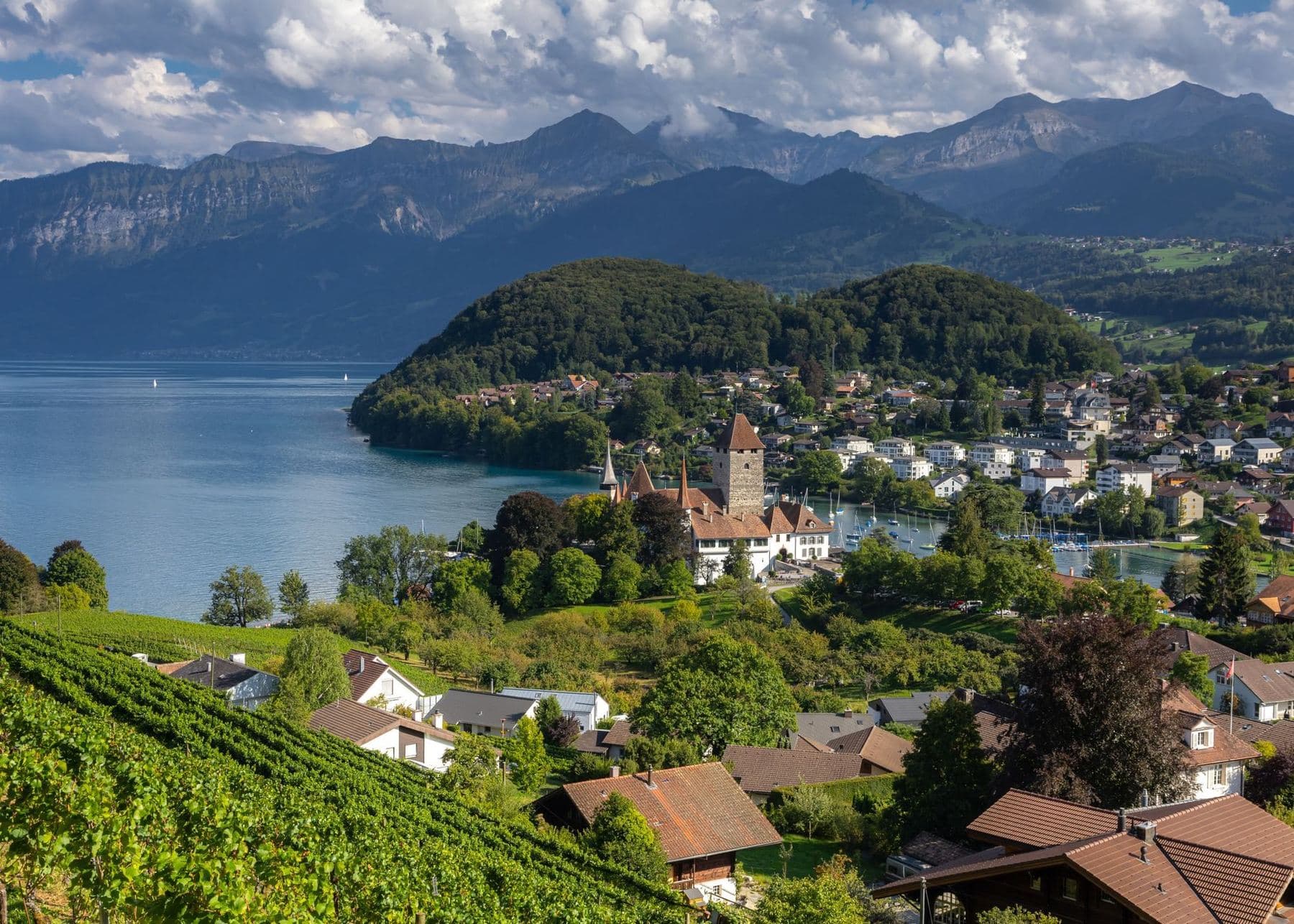 A Swiss old town in a river valley with distant Alps
