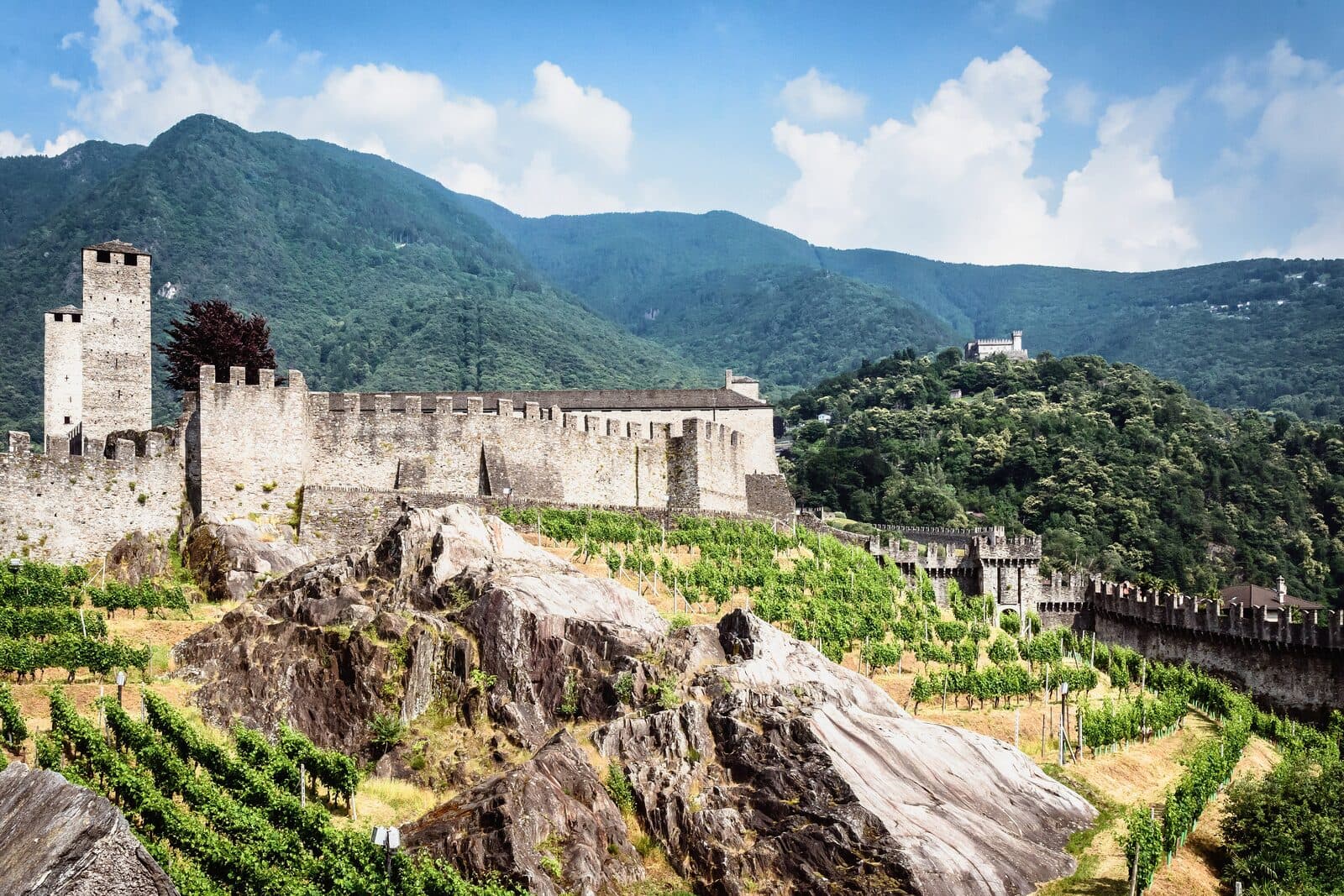 Lake Lugano, palms and southern light, the Bellinzona castles
