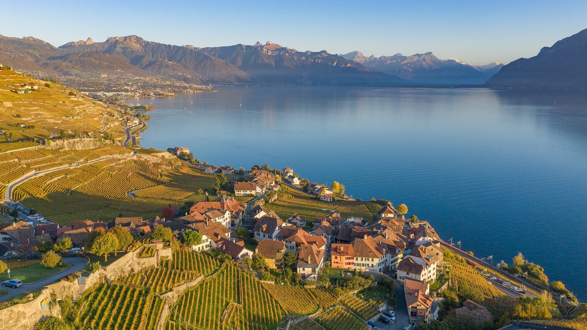Lavaux vineyard terraces above Lake Geneva with a lakeside village and the Alps in evening light